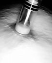 Hard nipple, foto 707x842, 2 reacties, 10 stemmen