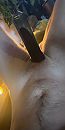 Hard opgepompt, foto 772x1531, 0 reacties, 6 stemmen