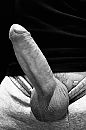 Hard, foto 1024x1536, 5 reacties, 10 stemmen