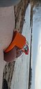Heerlijk dat strand!, foto 1048x2231, 0 reacties, 4 stemmen
