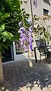 Heerlijk die ☀️, foto 2250x4000, 0 reacties, 8 stemmen