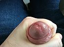 Heerlijk nat...., foto 2592x1936, 10 reacties, 13 stemmen