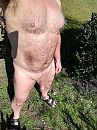Heerlijk weer, foto 3000x4000, 3 reacties, 8 stemmen