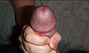 Helpend handje, foto 1413x845, 4 reacties, 13 stemmen