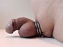 Hem even laten rusten., foto 2576x1932, 1 reacties, 7 stemmen