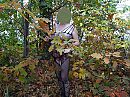 Herfstwandeling 1, foto 4000x3000, 10 reacties, 44 stemmen