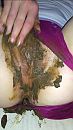 Het is weer zo'n weekend..., foto 683x1215, 7 reacties, 29 stemmen