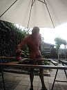Het is, foto 1944x2592, 1 reacties, 8 stemmen