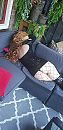 Het was best  wel frisjes zo, foto 980x2016, 42 reacties, 138 stemmen