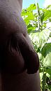 Iemand zin, foto 2250x4000, 0 reacties, 2 stemmen