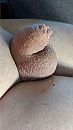 Ieniemienie, foto 1134x2016, 29 reacties, 47 stemmen