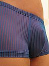 In boxershort, foto 1724x2298, 5 reacties, 17 stemmen