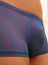 In boxershort, foto 1724x2298, 5 reacties, 15 stemmen