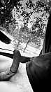 In de truck, foto 1836x3264, 0 reacties, 4 stemmen