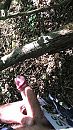 In het bos spelen, foto 1080x1920, 16 reacties, 41 stemmen