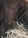 In het hooi, foto 2448x3264, 13 reacties, 48 stemmen