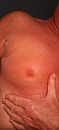 Ishotmynippel, foto 1504x3264, 2 reacties, 5 stemmen