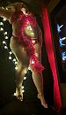 Kerst 2021, foto 2203x3786, 5 reacties, 29 stemmen