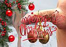 Kerstgroet 2021, foto 1234x884, 2 reacties, 6 stemmen