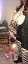 Klaar voor de kerstdagen, foto 1776x4000, 15 reacties, 94 stemmen