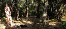Klaarkomen in een bos., foto 2596x1167, 2 reacties, 4 stemmen