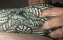 Kneed ‘M lekker, foto 1011x646, 5 reacties, 27 stemmen