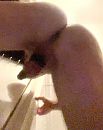 Kontje, foto 509x640, 2 reacties, 4 stemmen