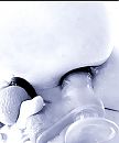 Kontje vullen, foto 1026x1231, 28 reacties, 82 stemmen