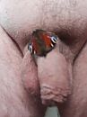 Koud buiten., foto 3000x4000, 1 reacties, 2 stemmen