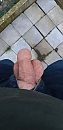Koud, foto 1944x4000, 0 reacties, 3 stemmen