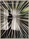 Kunst…., foto 2702x3537, 2 reacties, 6 stemmen