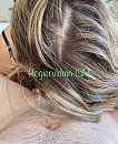 L, foto 1649x2005, 6 reacties, 24 stemmen