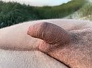 Laatste zonnestralen., foto 4000x3000, 1 reacties, 7 stemmen