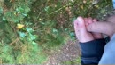 Lekker buiten, film 00:00:10, 6 reacties, 28 stemmen