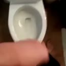 Lekker even plassen, film 00:00:09, 2 reacties, 4 stemmen
