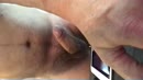 Lekker klaargekomen, film 00:00:00, 1 reacties, 10 stemmen