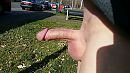 Lekker buiten met mijn pik, foto 3771x2121, 3 reacties, 20 stemmen
