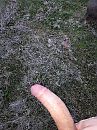 Lekker buiten, foto 3000x4000, 1 reacties, 8 stemmen