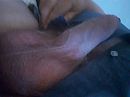 Lekker hard, foto 960x720, 1 reacties, 2 stemmen