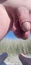 Lekker op strand, foto 1944x4000, 14 reacties, 45 stemmen
