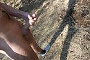 Lekker trekken op de heide!, foto 4000x2666, 0 reacties, 11 stemmen