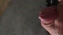 Lekker, film 00:00:18, 11 reacties, 28 stemmen