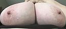 Lekkere bolle uiers, foto 1139x505, 9 reacties, 25 stemmen