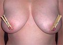 Lekkerr, foto 450x327, 133 reacties, 372 stemmen