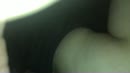 Lekkker, film 00:00:00, 28 reacties, 179 stemmen