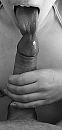 Lik, foto 624x1301, 3 reacties, 25 stemmen