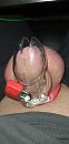 Locked in place, foto 864x1788, 5 reacties, 8 stemmen