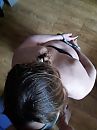 Lustslavin, foto 3000x4000, 0 reacties, 30 stemmen