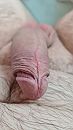 Maak hem wakker, foto 2252x4000, 1 reacties, 2 stemmen