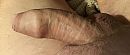 Me, foto 3102x1328, 2 reacties, 5 stemmen